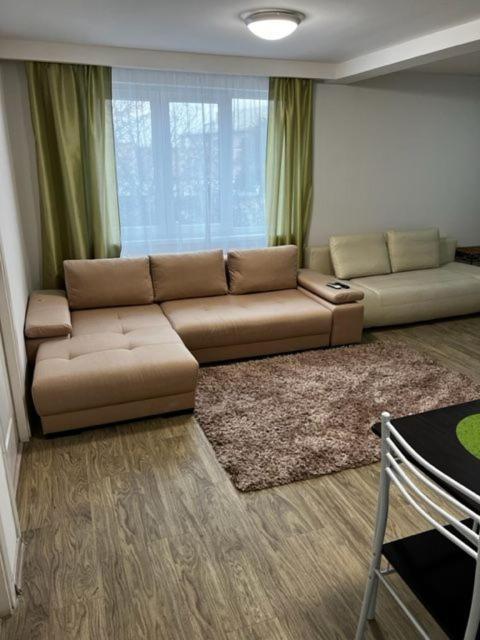 Apartament 9 Central Târgu-Mureş エクステリア 写真