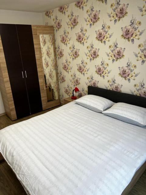 Apartament 9 Central Târgu-Mureş エクステリア 写真