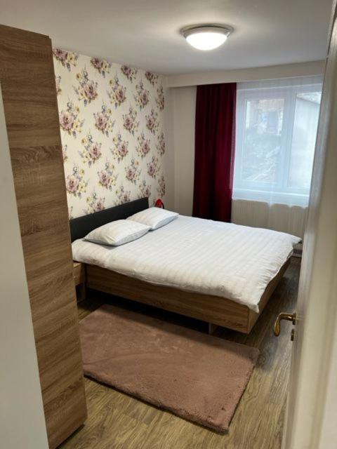 Apartament 9 Central Târgu-Mureş エクステリア 写真